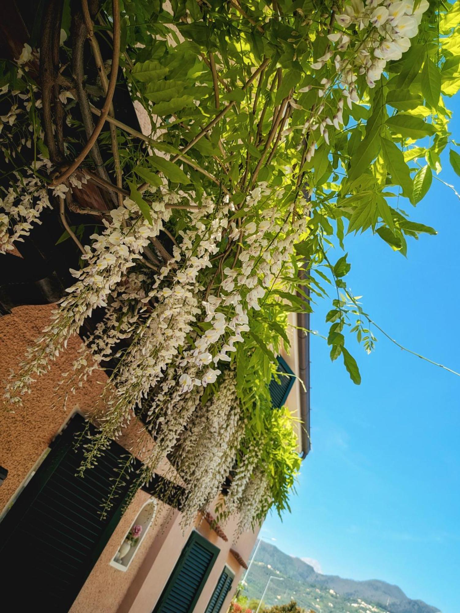 La Bugneta Panzió Pietrasanta Kültér fotó